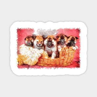 Adorable Pomerian breed puppies. Baby, cute and furry puppies in minbre basket Magnet