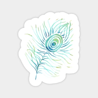 Turquoise Peacock Feather on White Magnet