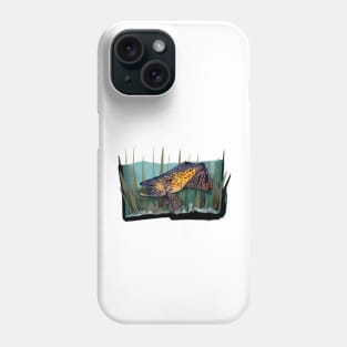 Brown Trout Phone Case