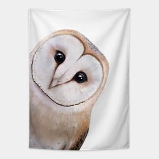 Owl Tapestry