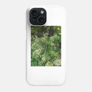 Thicket (terebinth and vetch) Phone Case