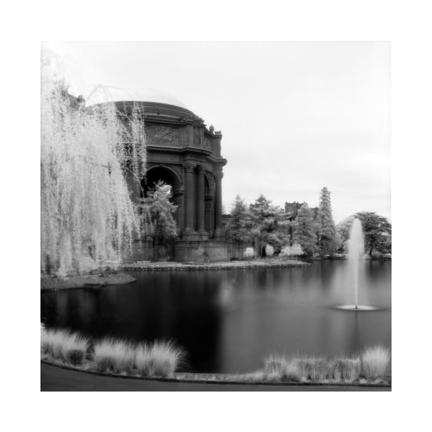 Palace of Fine Arts, San Francisco by rodneyj46