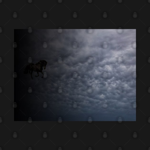 Fairy black horse galloping in clouds by Khala