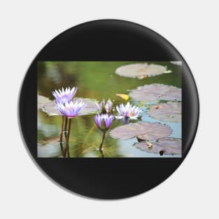 Lavendar Water Lilies Pin