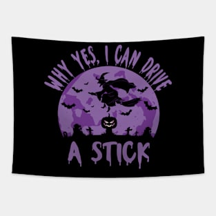 Why Yes I Can Drive A Stick Witch Tapestry