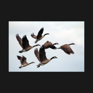 Flying Canada Goose T-Shirt