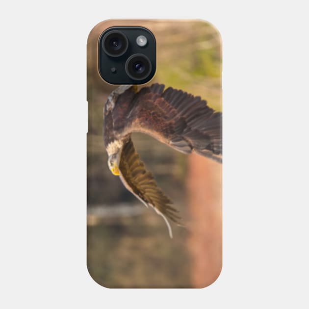 Bald Eagle in Flight Phone Case by Femaleform