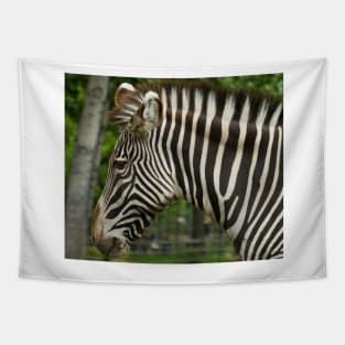 Zebra Head shot Tapestry