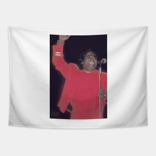 James Brown Photograph Tapestry