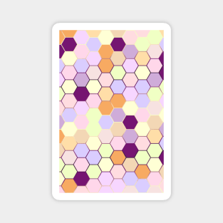 Cute pastel hexagon pattern Magnet