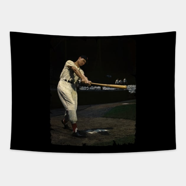 Ted Williams in Boston Red Sox Tapestry by PESTA PORA