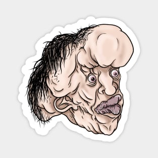 Joseph merrick Magnet