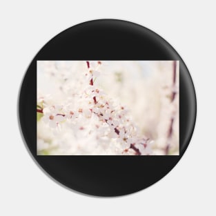 White cherry flowers Pin