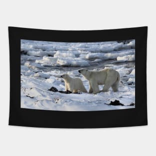 Polar Bear & Cub Tasting the Air, Churchill, Canada Tapestry