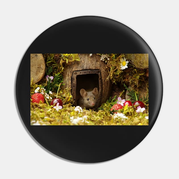 George the mouse in a log pile house Pin by Simon-dell