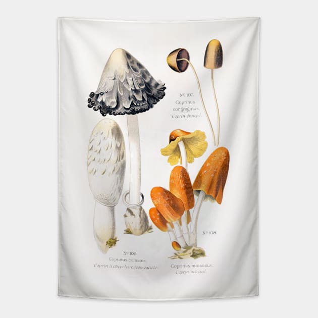 Vintage mushroom tapestry hot sale