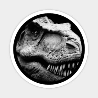 Tyrannosaurus Rex - carnivorous dinosaur Magnet