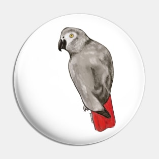 African Grey Pin