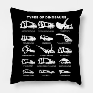 Types of Dinosaurs Table for Kids Pillow