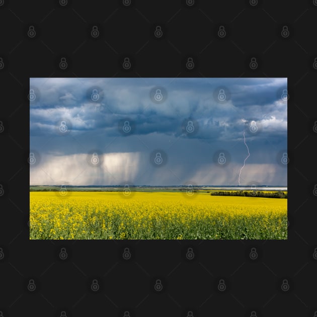 Thunderstorm Over a Canola Field by saku1997