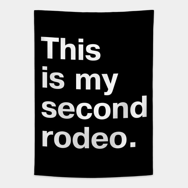 "This is my second rodeo." in plain white letters - cos you're not the noob, but barely Tapestry by TheBestWords