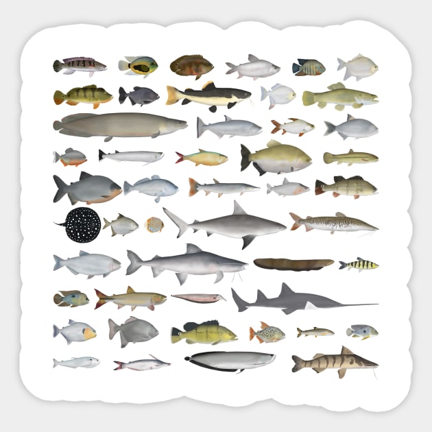 River Basin Fish Group - Fish - Sticker