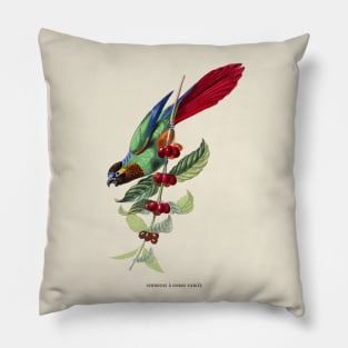 Colorful Parrot Antique Naturalist Illustration Pillow