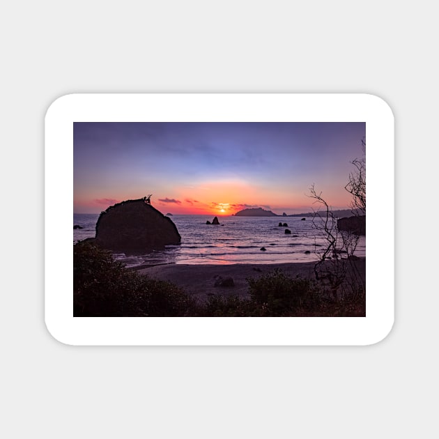 Houda Point beach overlook Magnet by blossomcophoto