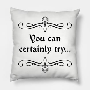 You Can Certainly Try... Pillow