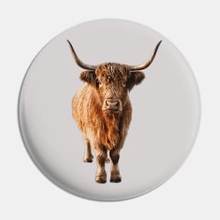 Highland Cow Wooly Shaggy Kattle Pin