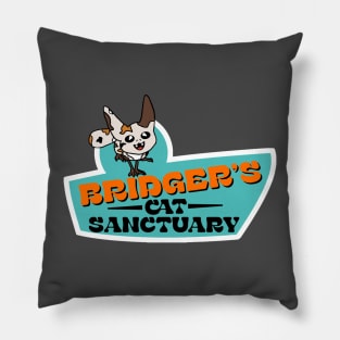 Bridger's Cat Sanctuary Pillow