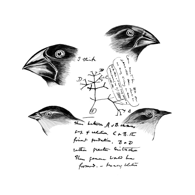 Darwin’s Finches by hereticwear