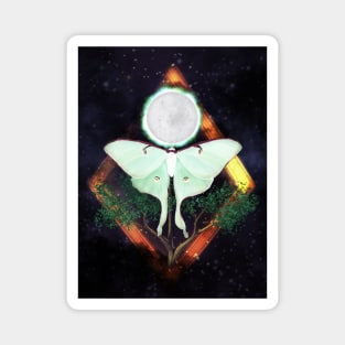 Lunar Moth Magnet