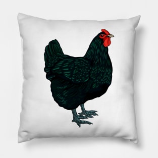 Jersey Giant Chicken Pillow