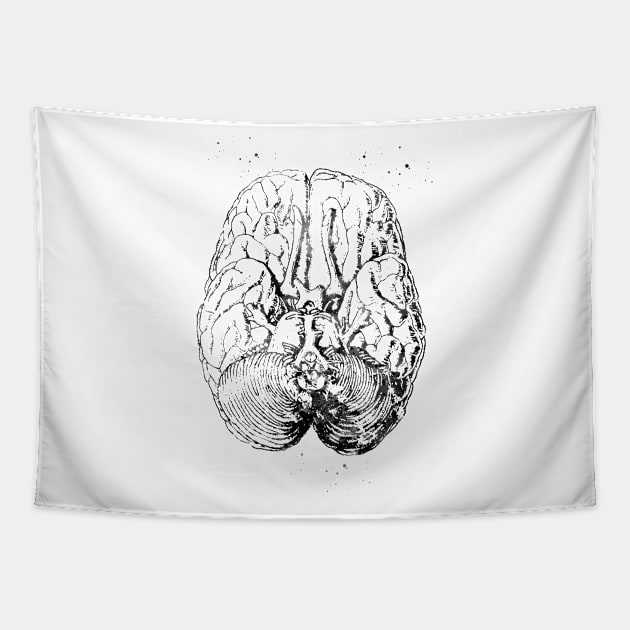 Human brain section Tapestry by erzebeth