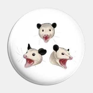 Possum Trio Pin