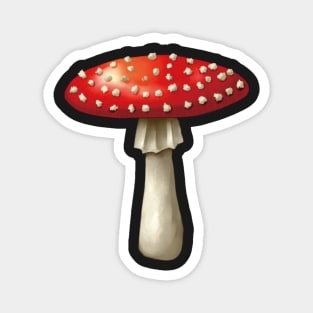 Fly Agaric (Amanita muscaria) Mushrooms Magnet