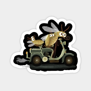 Mosquito Magnet