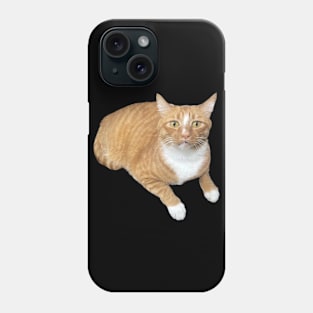 Orange cat scared face Phone Case