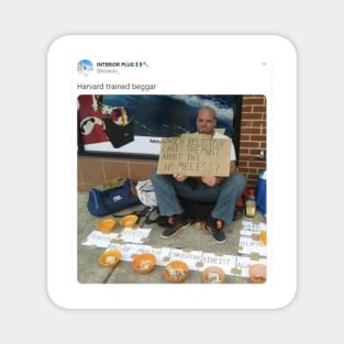 Harvard-Trained Beggar: Religious Charity Showdown Magnet