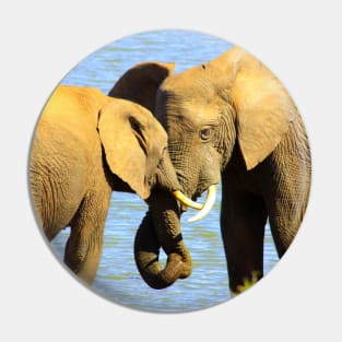 African Wildlife Photography Elephant love Pin