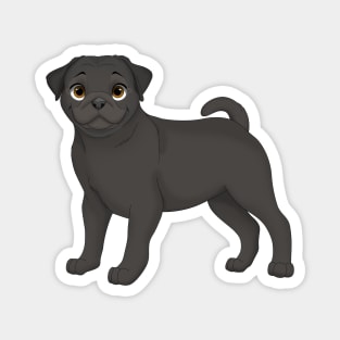 Black Pug Dog Magnet