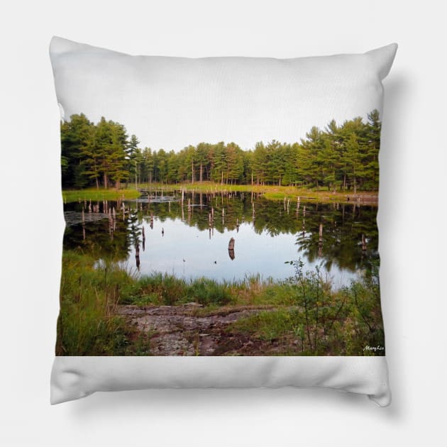 Beaver Pond Frontenac Provincial Park No.2 Pillow by MaryLinH