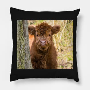 Scottish highland cow calf Pillow