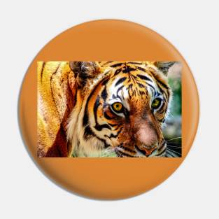 The Tiger Pin