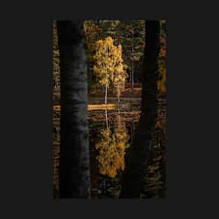 'Autumn Magic 2', Loch Dunmore, Pitlochry T-Shirt