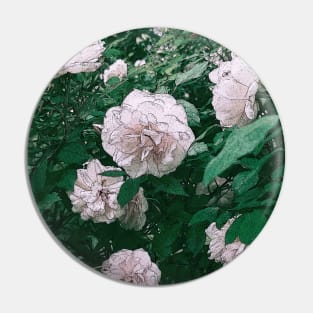 SEARCH FOR CHARMING ROSES Pin