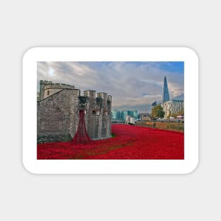 Tower of London Red Poppy Magnet