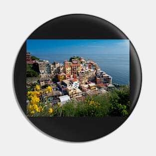 View on the cliff town of Manarola, one of the colorful Cinque Terre on the Italian west coast Pin