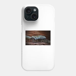 Black Footed Cat Phone Case